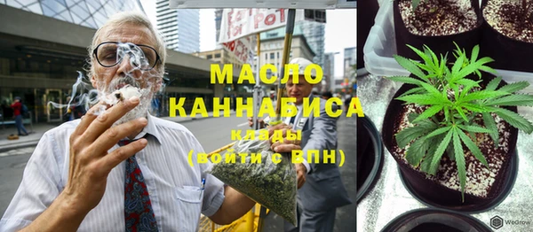 мет Алексин
