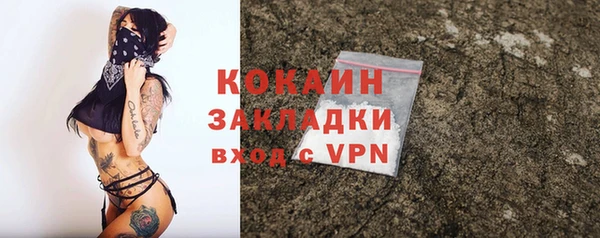 индика Покров