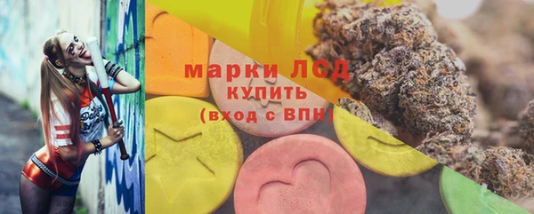 стафф Алзамай