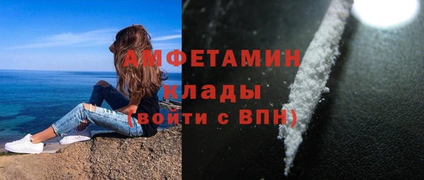 стафф Алзамай