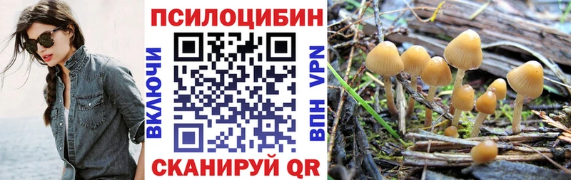 Галлюциногенные грибы Psilocybe Усинск