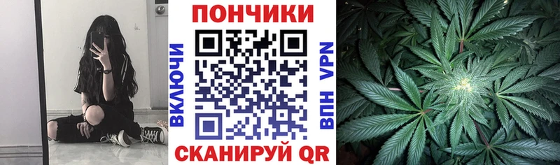 Бошки Шишки конопля  купить наркотик  МЕГА онион  Усинск 